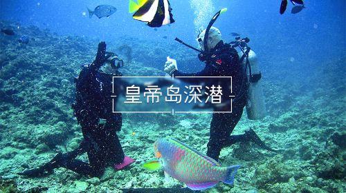 天天三国