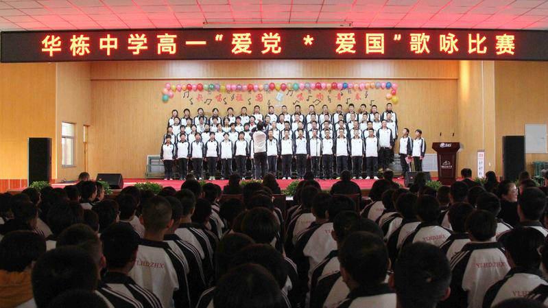 救援小棕兔