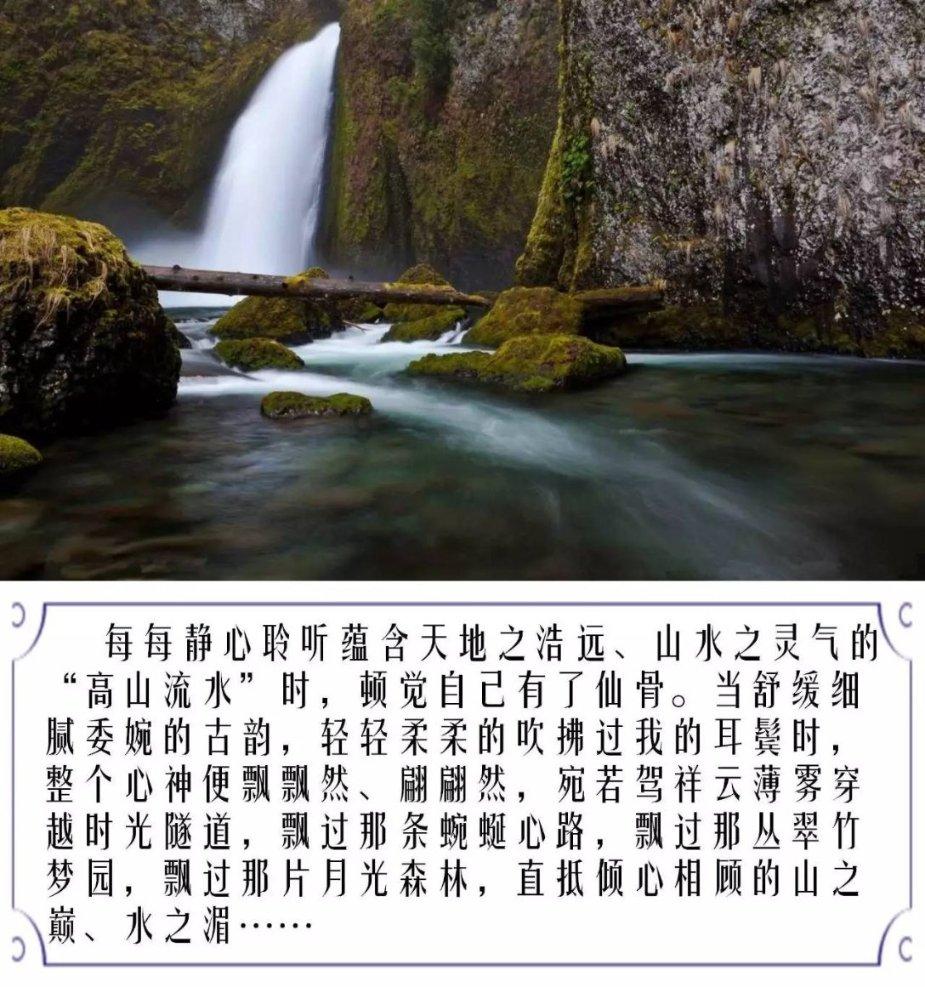昆明动物园再通报猴猫共处,计划近期将猫移出猴山,随后将对猫开展全面体检