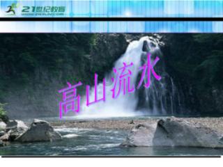 小仓鼠吃瓜子