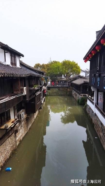 植物大战僵尸2